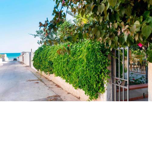 Villa Chiara