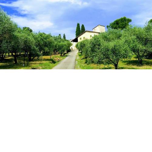 Villa Cipresso 2
