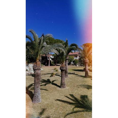 Villa Colomba Sicilia