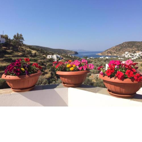 Villa Costa Studios