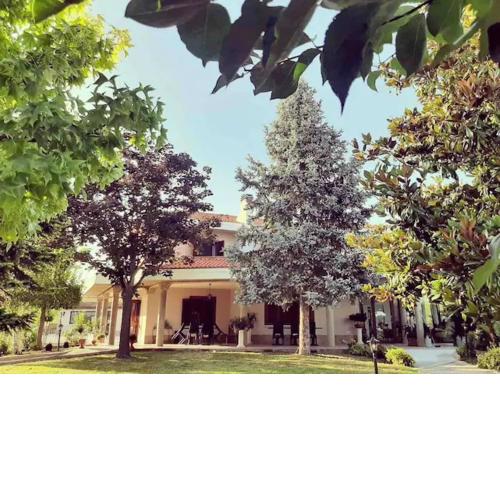 Villa Cycas