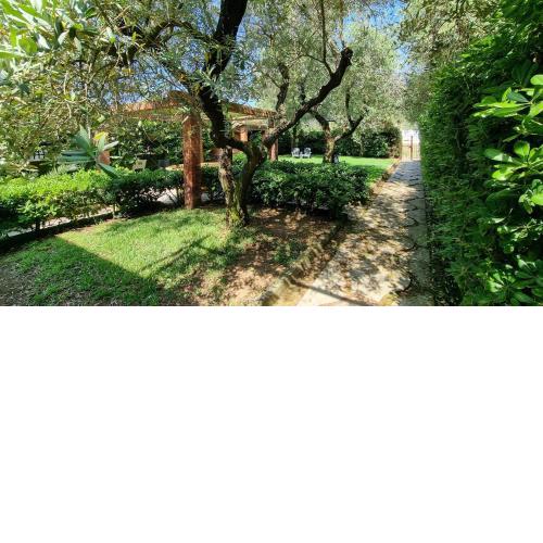 VILLA DEGLI ULIVI a 300 m DAL MARE