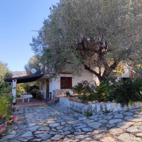 Villa degli Ulivi