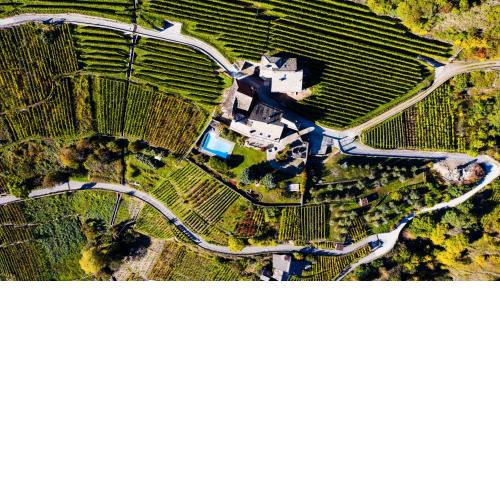 VILLA DEL LUPO: Crown of The Valtellina
