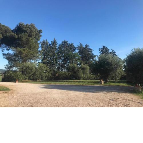 Villa delle rose