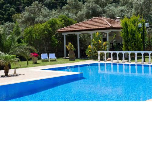 Villa Dimitris Apartments & Bungalows