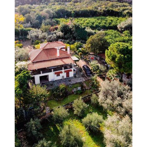 Villa Eirini with sea view