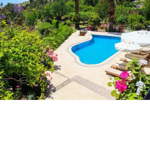 Villa ELA