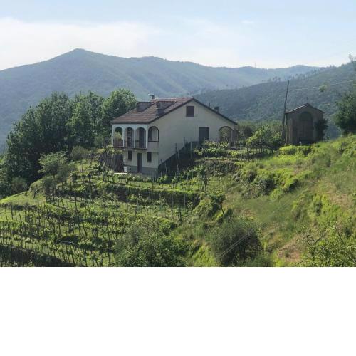 Villa ELENA