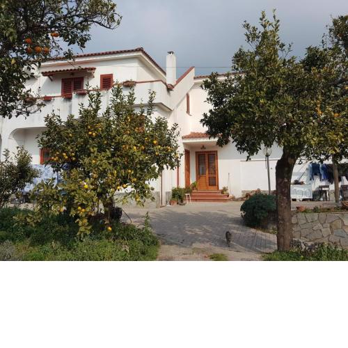 VILLA ELENA