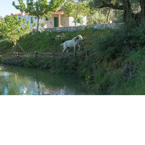 Villa Elia