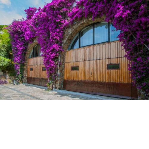 Villa Eliodora