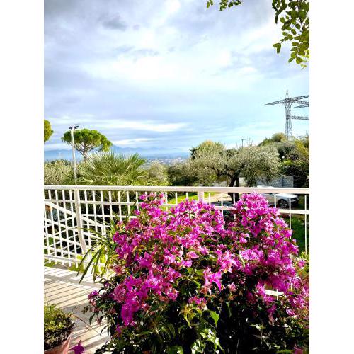 Villa Elisa