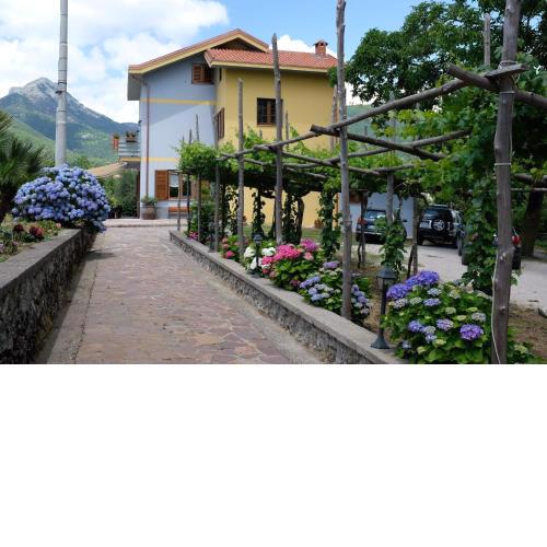 Villa Elisa