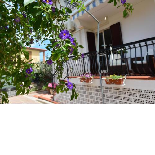 Villa Elisabetta Apartments