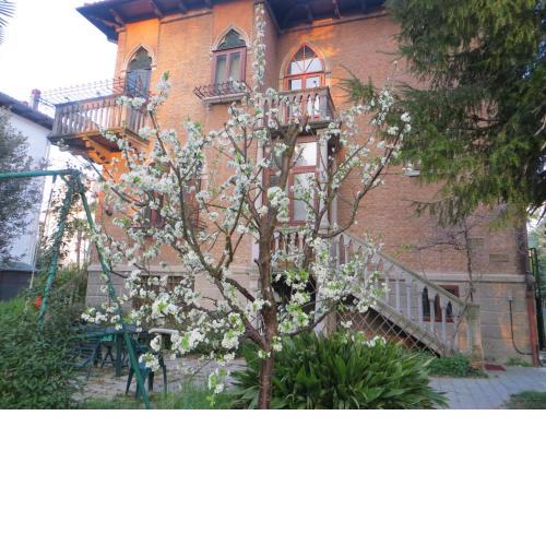 Villa Elisabetta