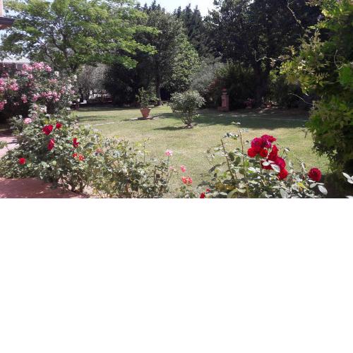 Villa Fabbri