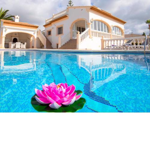 Villa Falcon Crest