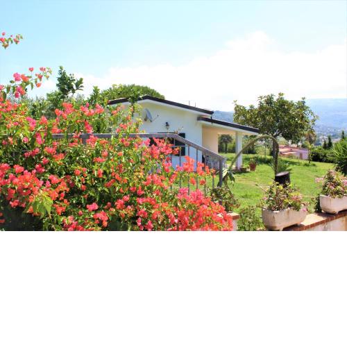 Villa Faro