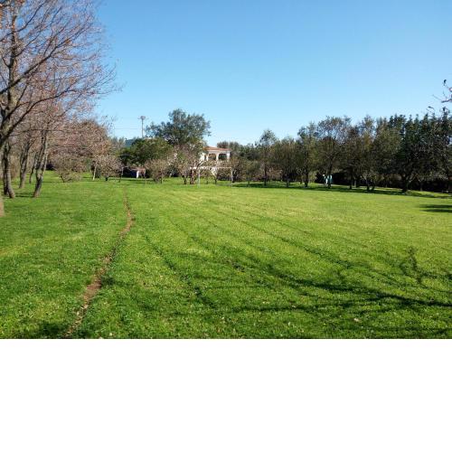 Villa Floris giardino AIRCON WIFI Parcheggio