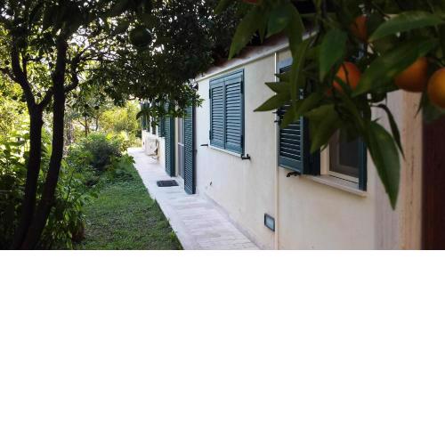 Villa François