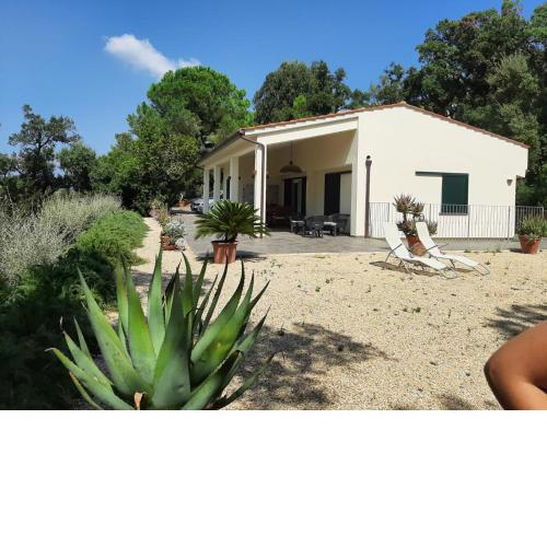 Villa Geko a Punta Perla
