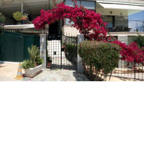 Villa George