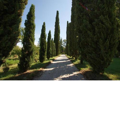 Villa Ghislanzoni