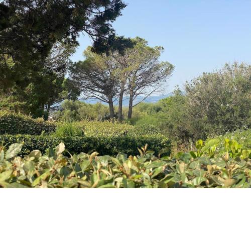 Villa Ginepro