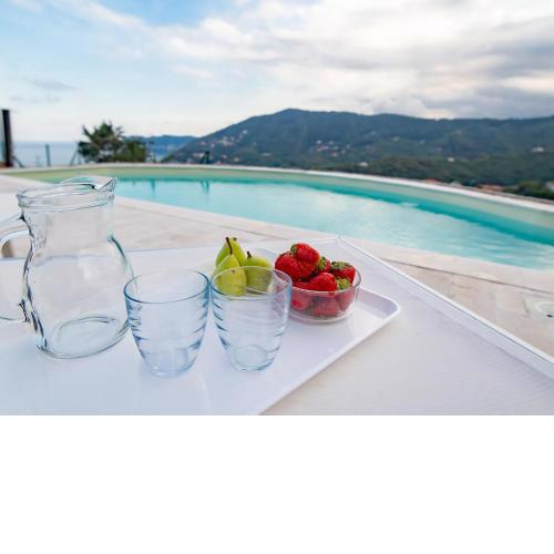 Villa Hanbury with swimming pool and parking in Alassio