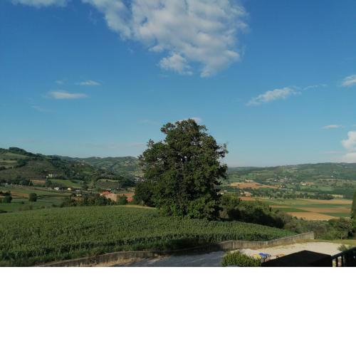 Villa ILIRIA