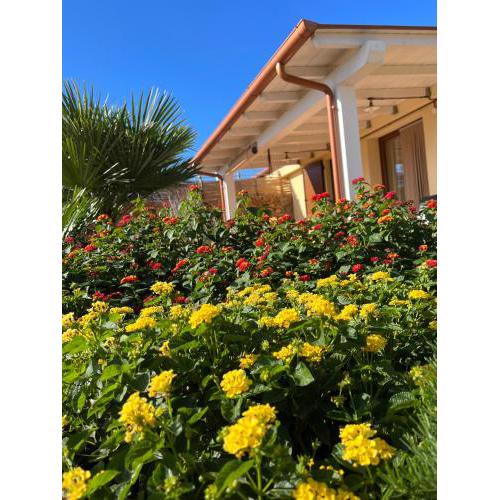 Villa Impetrata IUN Q7090