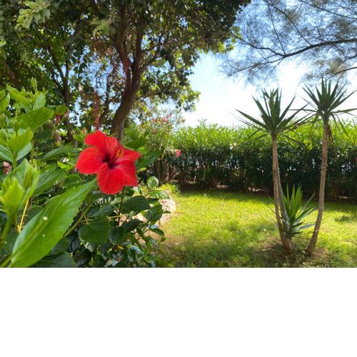 Villa in front of the sea with private garden
