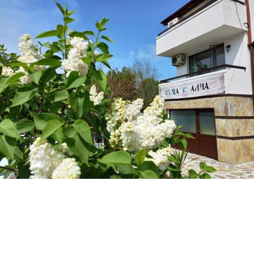 Villa Kalina