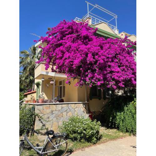 VILLA KONAK CLUB