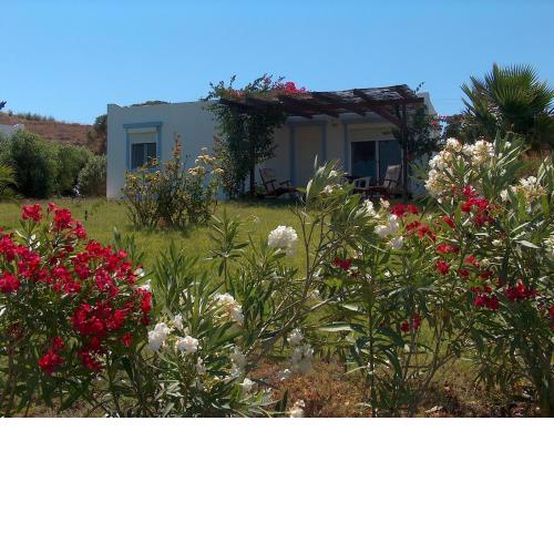 Villa Kos