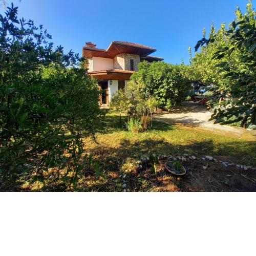 Villa Koza
