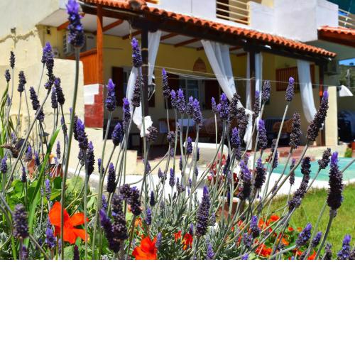Villa Krini
