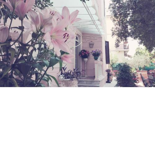 Villa la Fonte