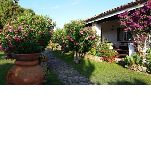Villa La Liccia Misia