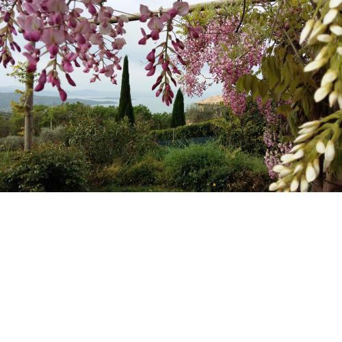 Villa La Moraiola
