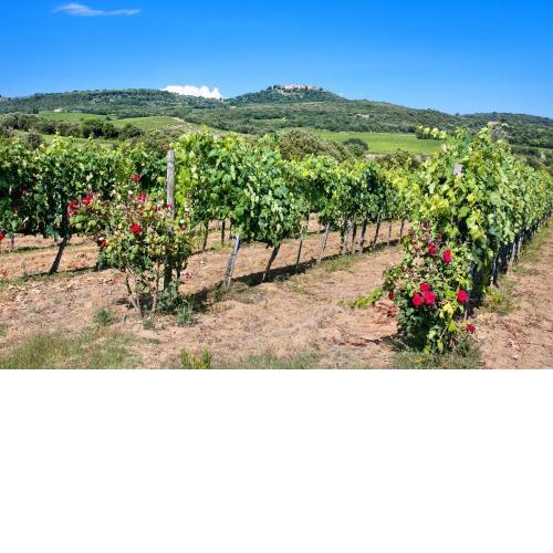 Villa La Quercia-Fresia