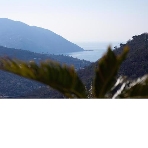 Villa Le Macine