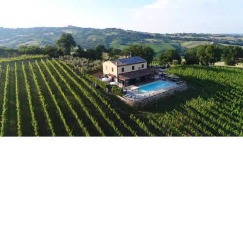 Villa le Vigne