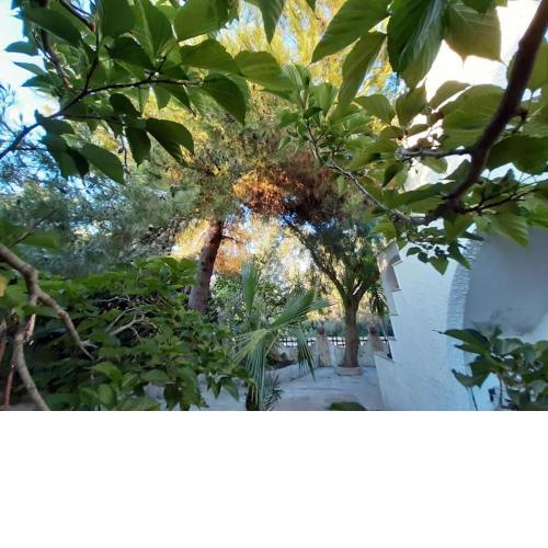 Villa Leda Mancaversa - CIS LE07508591000011672