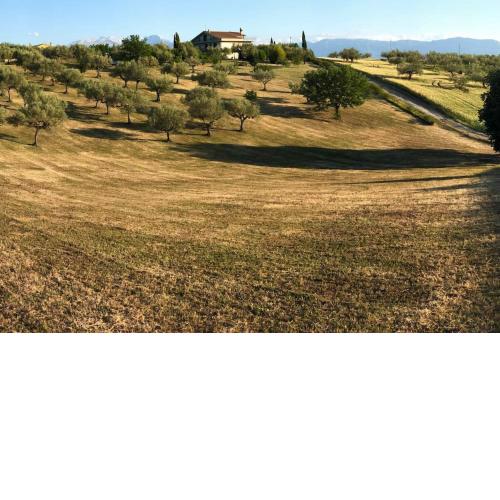 Villa Leone
