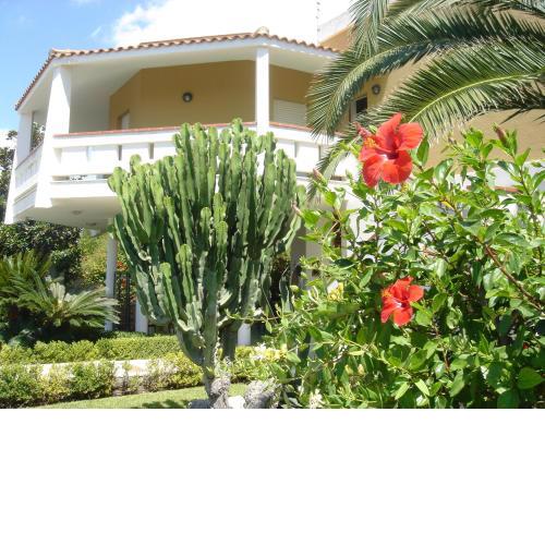Villa Lidi