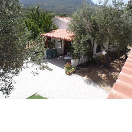 Villa L'Oliveto