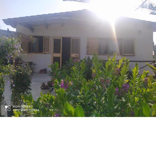 Villa Lupo
