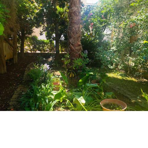 Villa Magnolia villa vacanze giardino e parcheggio